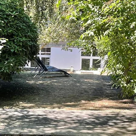 Apartament Au Beau Duplex De La Basilique *