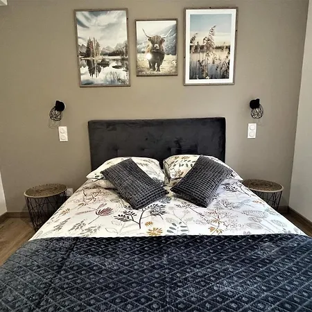 Apartament Au Beau Duplex De La Basilique